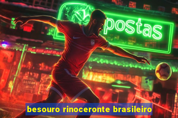 besouro rinoceronte brasileiro